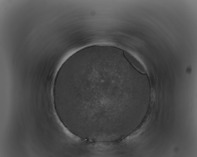 X0000093490959200710191224