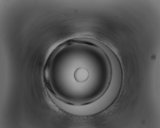 X0000093490960200710191224