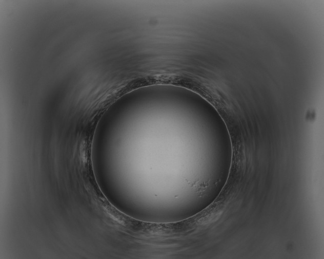 X0000093490962200710191224
