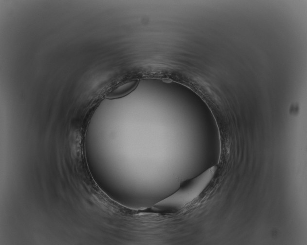 X0000093490964200710191224