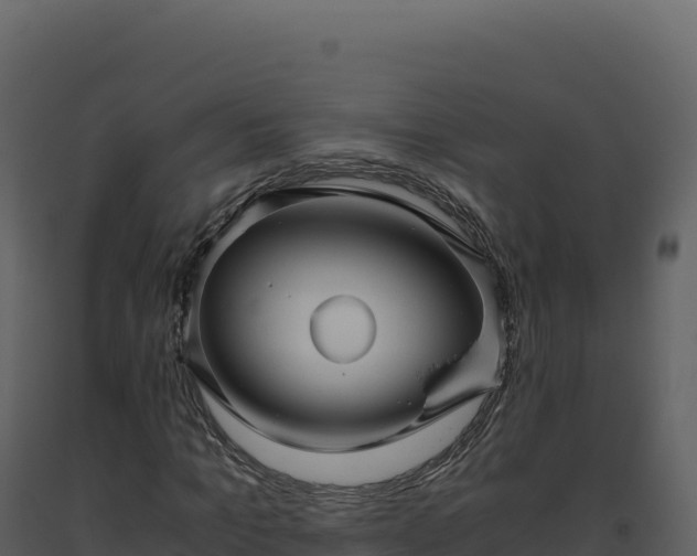 X0000093490965200710191224