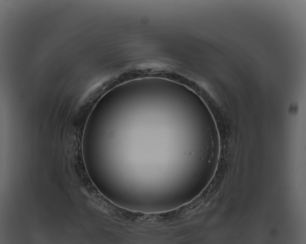 X0000093490967200710191224