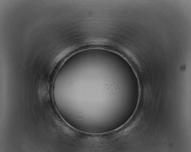 X0000093490970200710191224