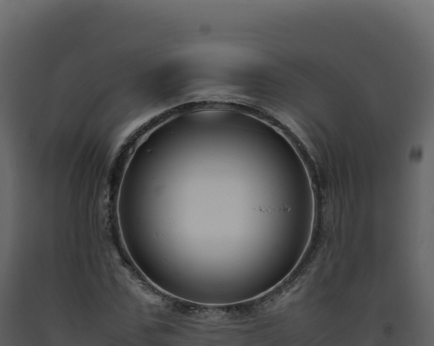 X0000093490971200710191224