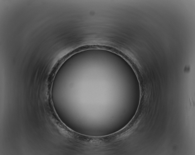 X0000093490974200710191224