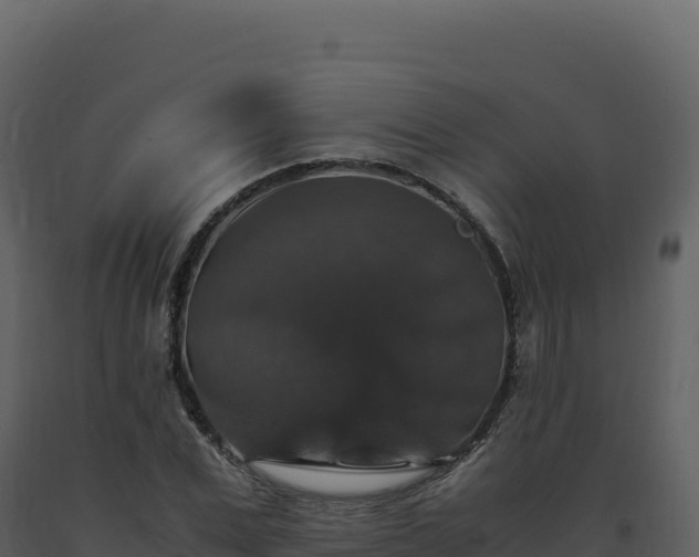 X0000093490975200710191224