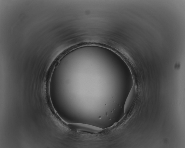 X0000093490976200710191223