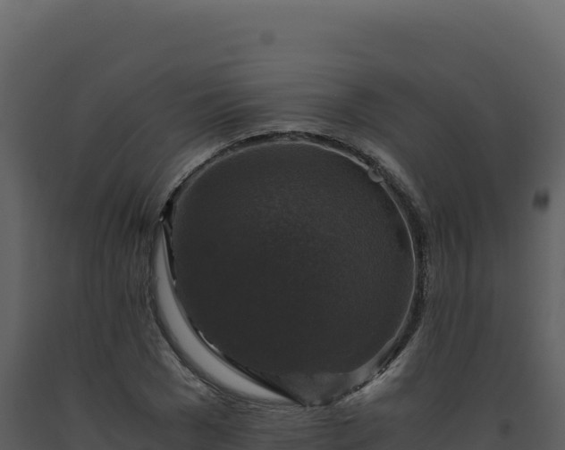 X0000093490977200710191223