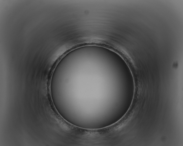 X0000093490978200710191223