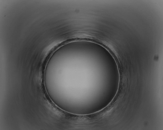 X0000093490979200710191223
