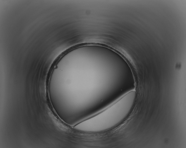X0000093490980200710191223