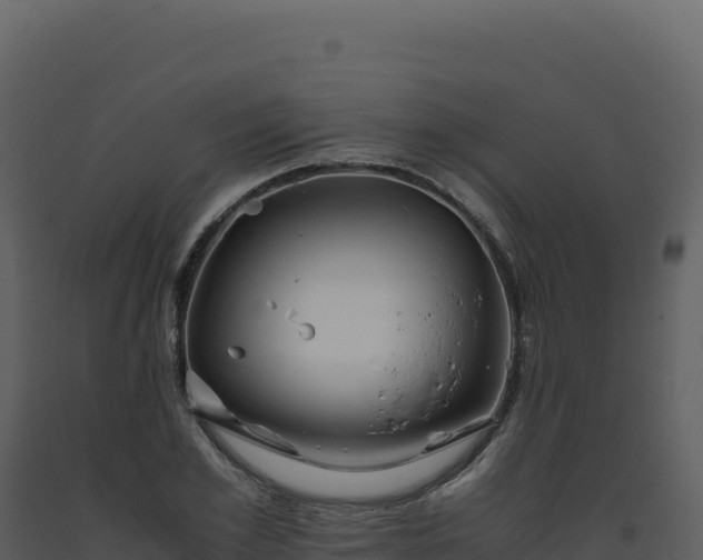 X0000093490981200710191223