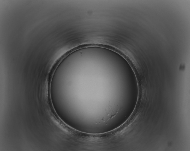 X0000093490982200710191223