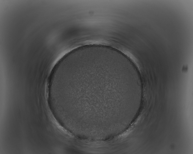 X0000093490983200710191223