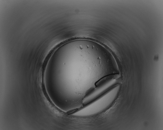 X0000093490984200710191223