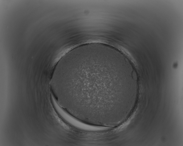X0000093490985200710191223