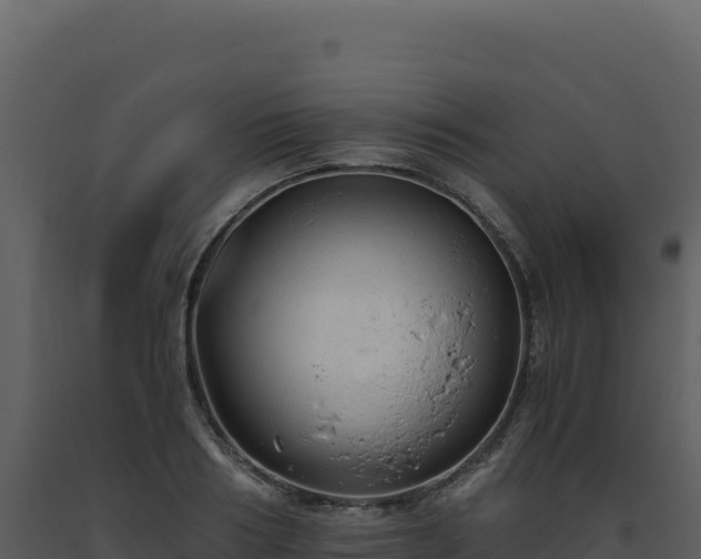 X0000093490986200710191223