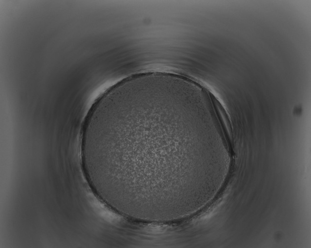 X0000093490987200710191223