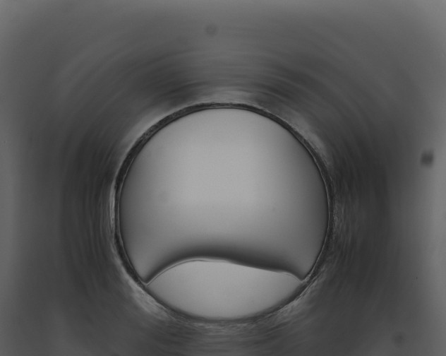X0000093490988200710191223