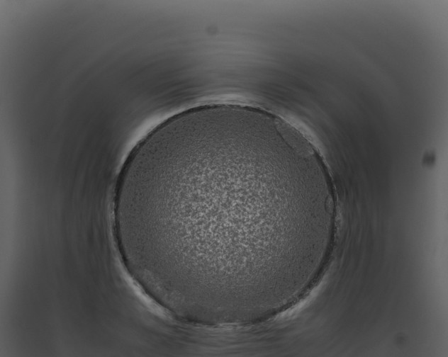 X0000093490989200710191223