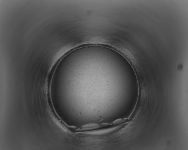 X0000093490990200710191223