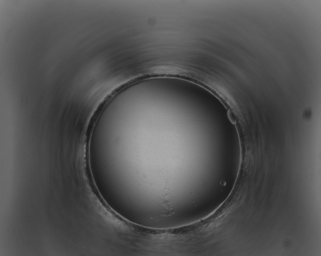 X0000093490992200710191223