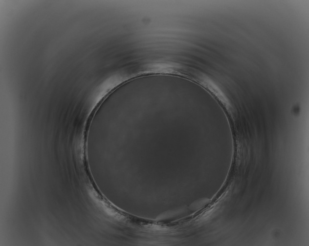 X0000093490994200710191223