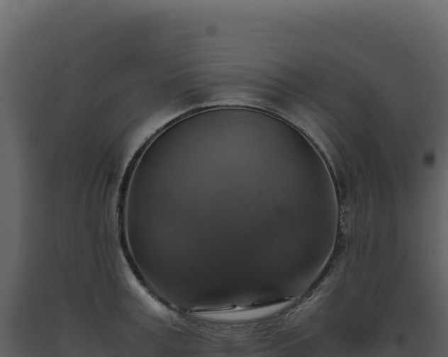 X0000093490995200710191223
