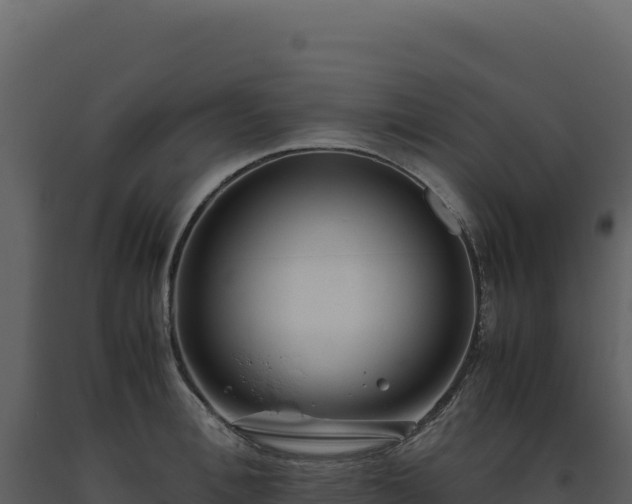 X0000093490996200710191223