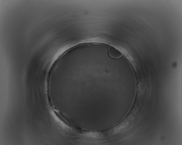 X0000093490998200710191223