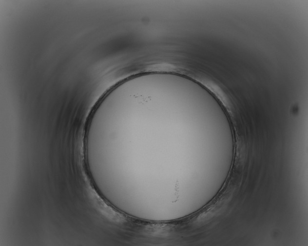 X0000093491000200710191223