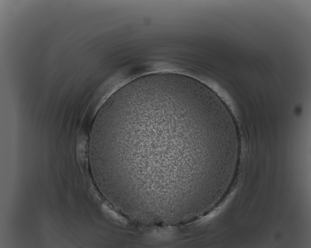 X0000093491001200710191223