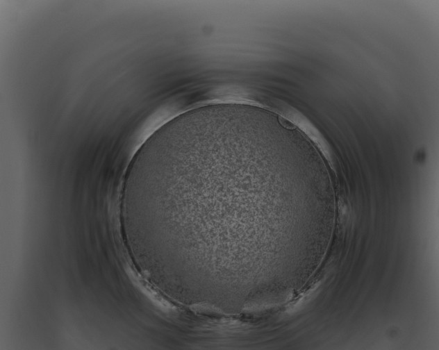 X0000093491002200710191223