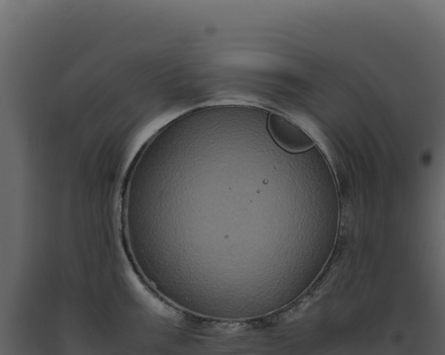 X0000093491003200710191223