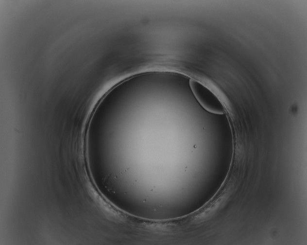 X0000093491004200710191223