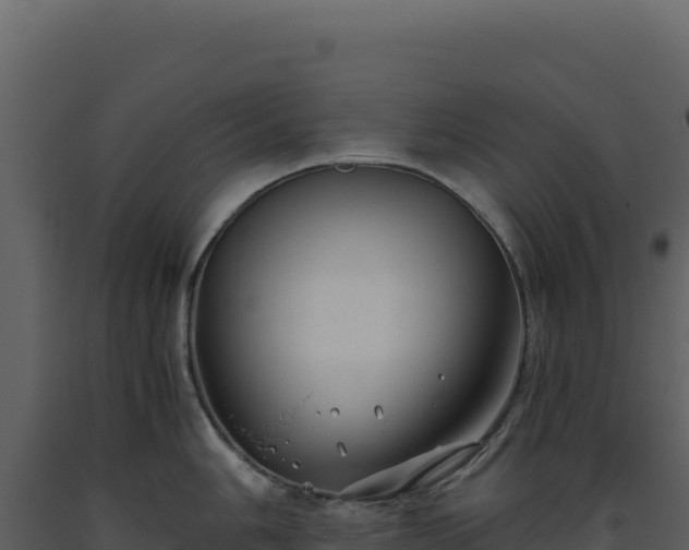 X0000093491006200710191223