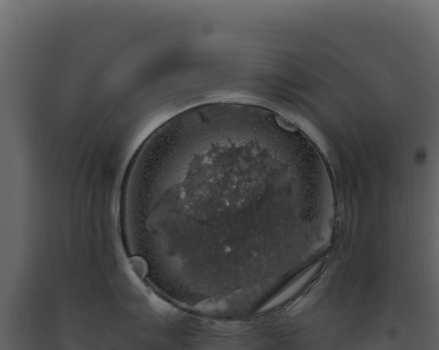 X0000093491007200710191223