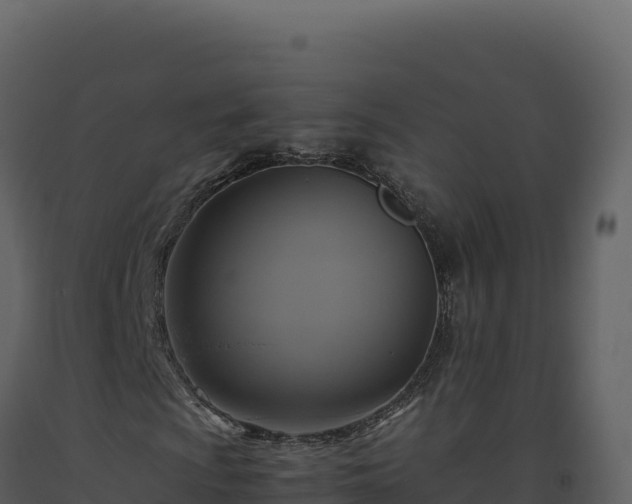 X0000093491009200710191222