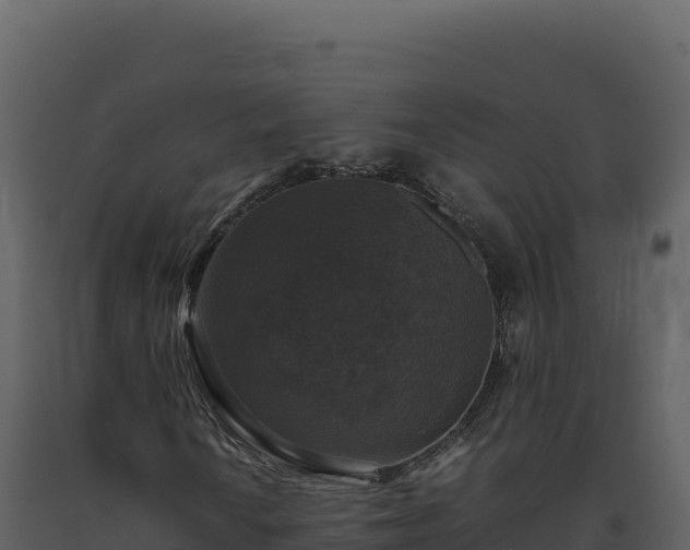 X0000093491010200710191222