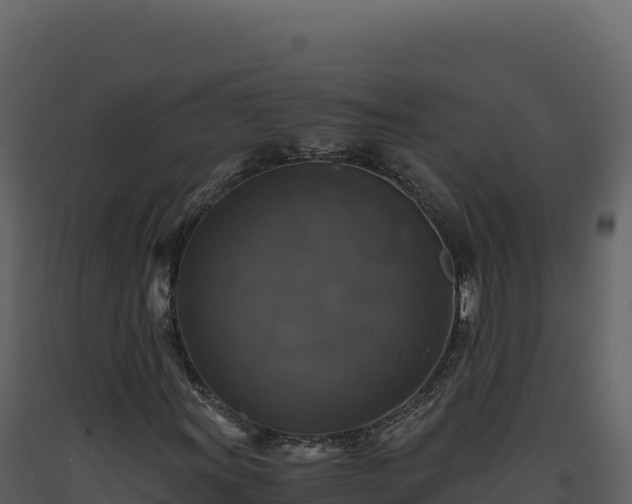 X0000093491011200710191222