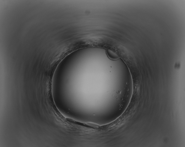 X0000093491012200710191222