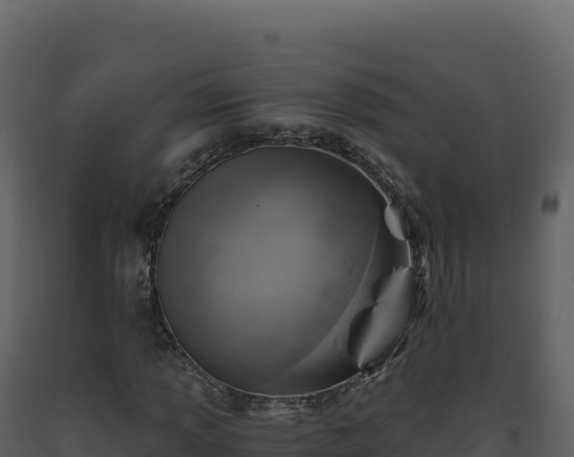 X0000093491013200710191222