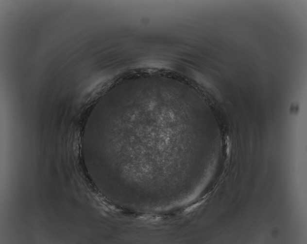 X0000093491014200710191222