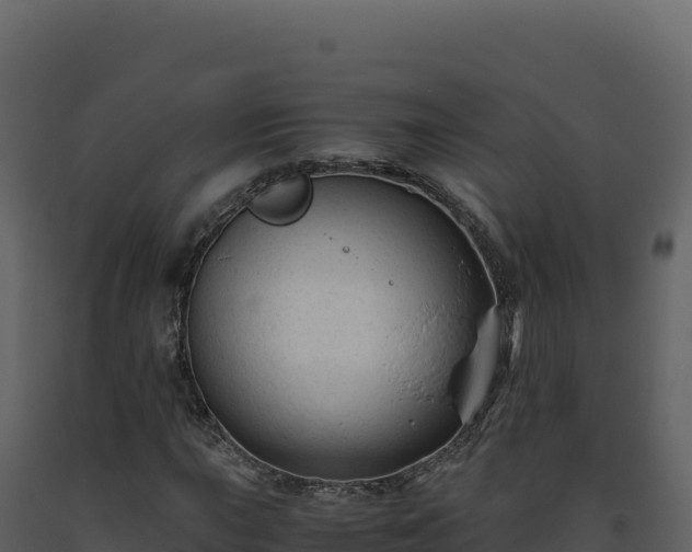 X0000093491015200710191223