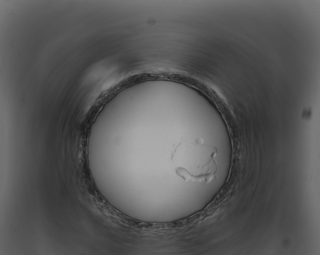 X0000093491016200710191223