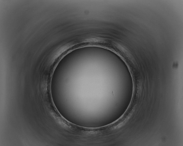 X0000093491017200710191223
