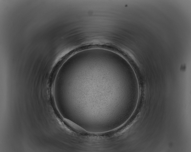 X0000093491018200710191223