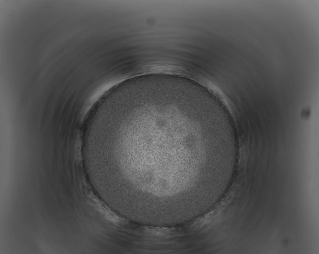 X0000093491019200710191223