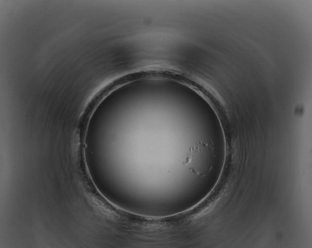 X0000093491021200710191223