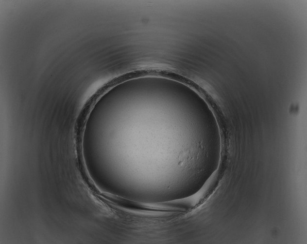 X0000093491022200710191223